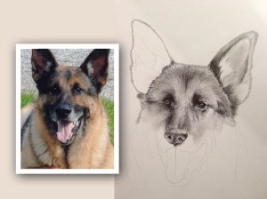 Early progress on my portrait of K-9 Officer Kubo