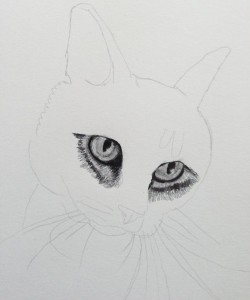 Lucky_eyes