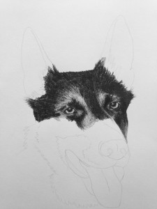 Initial progress on my memorial portrait of Qai.