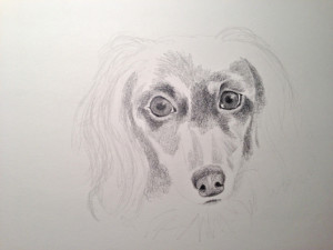 bailey1