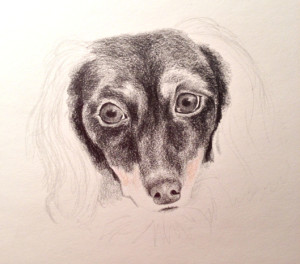 bailey2b