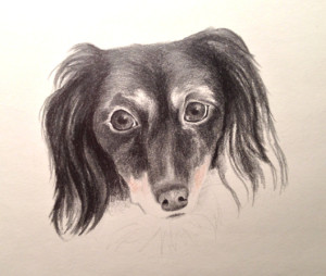 bailey3