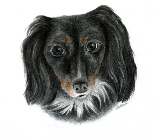 bailey_finalweb