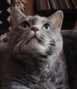 My long-time friend, Maya.
