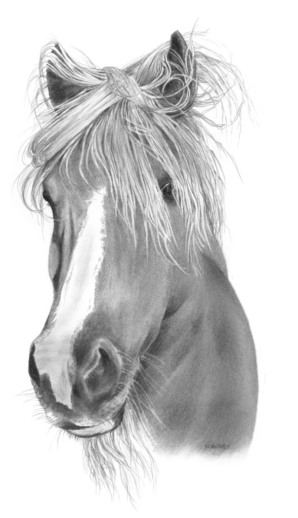 Merry the pony, her finished portrait!