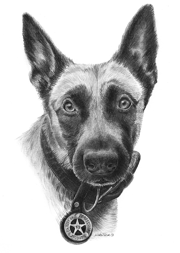 Scout-FB