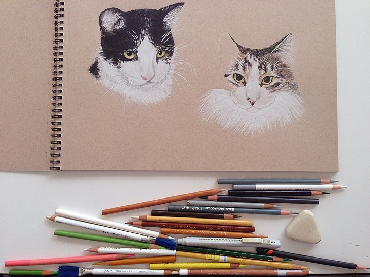 Variety of pencils I am using on this double portrait.