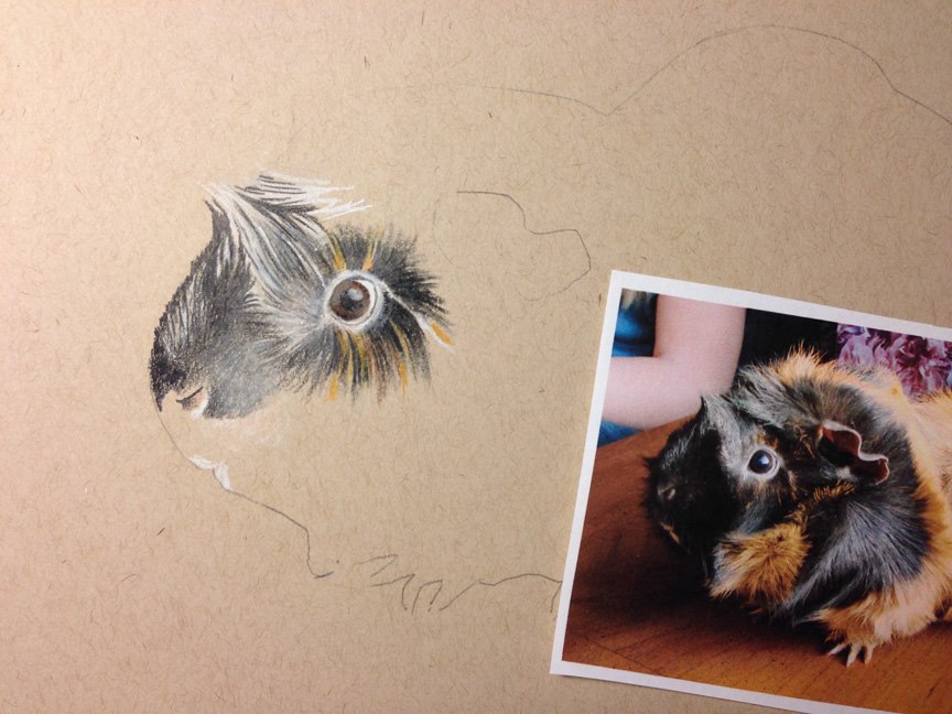 The beginning of Lola's portrait.