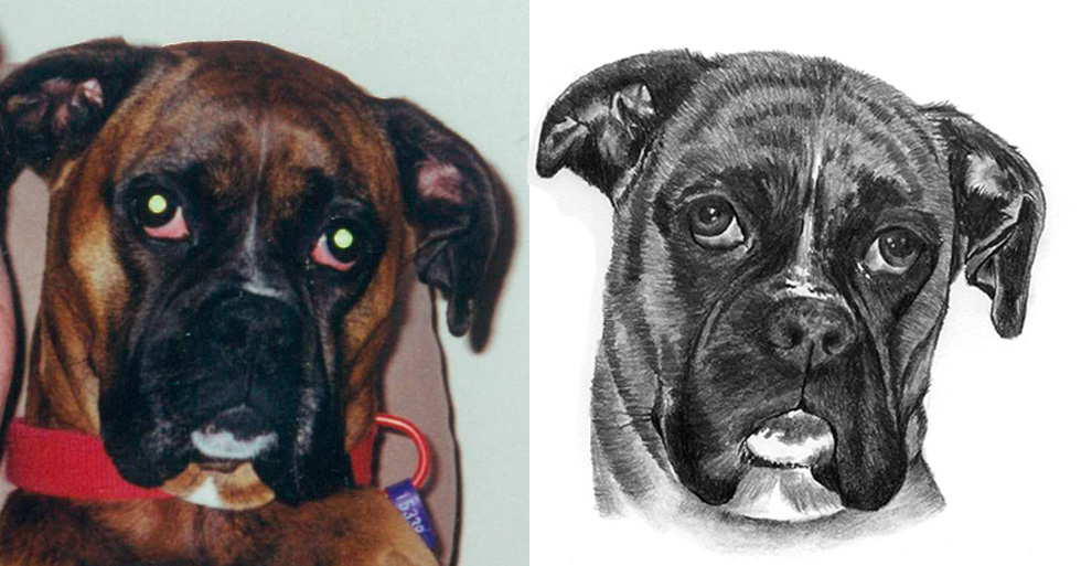 Haley_beforeafter