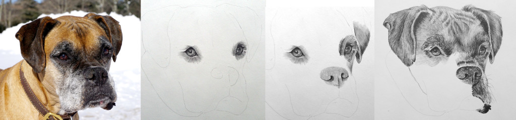 Killian-progress
