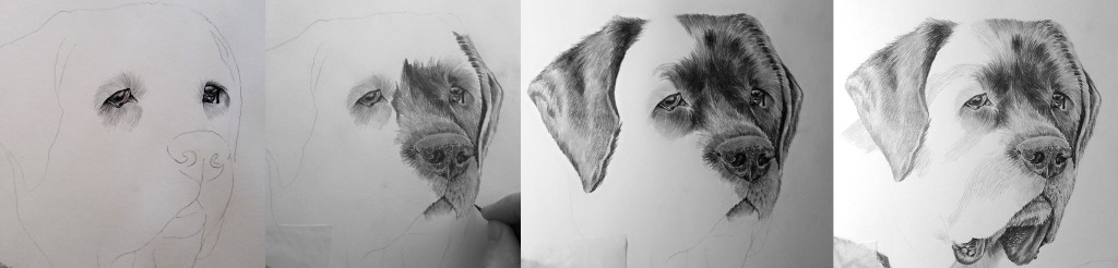 Riona_progression
