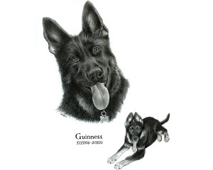 Guinness-WP