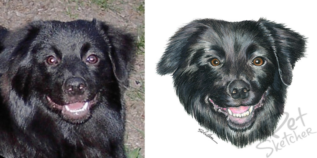 shadow_compare